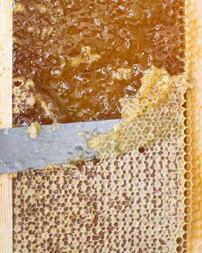 عسل طبیعی گون با موم