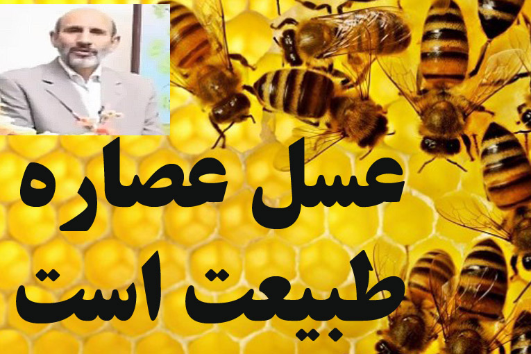 عسل عصاره طبیعت است