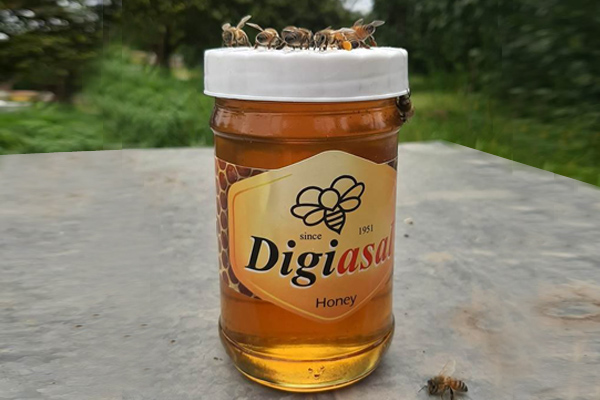 عسل اصل . دیجی عسل